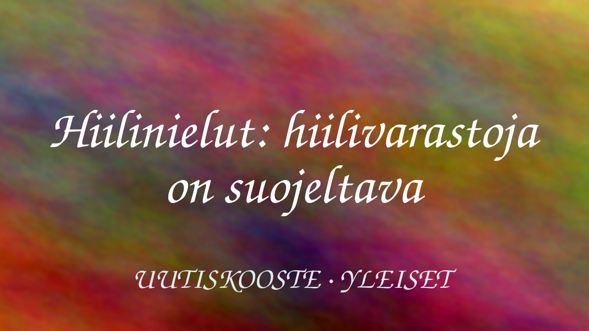 Hiilinielut: hiilivarastoja on suojeltava – kuvituskuva