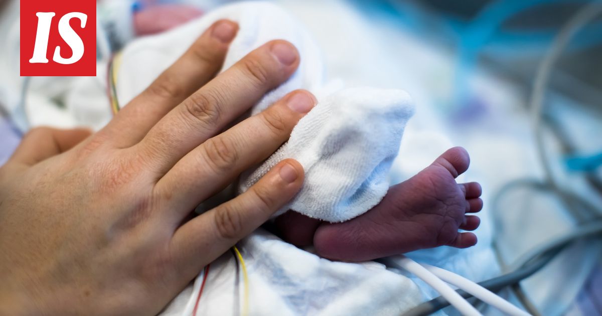Jalasjärveläisperheen arkeen osui harvinainen ja suloinen yllätys – kuvituskuva