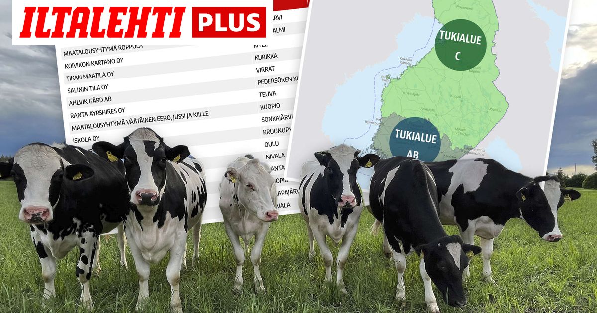 Jättilista paljastaa: nämä maitotilat saavat eniten tukia – kuvituskuva
