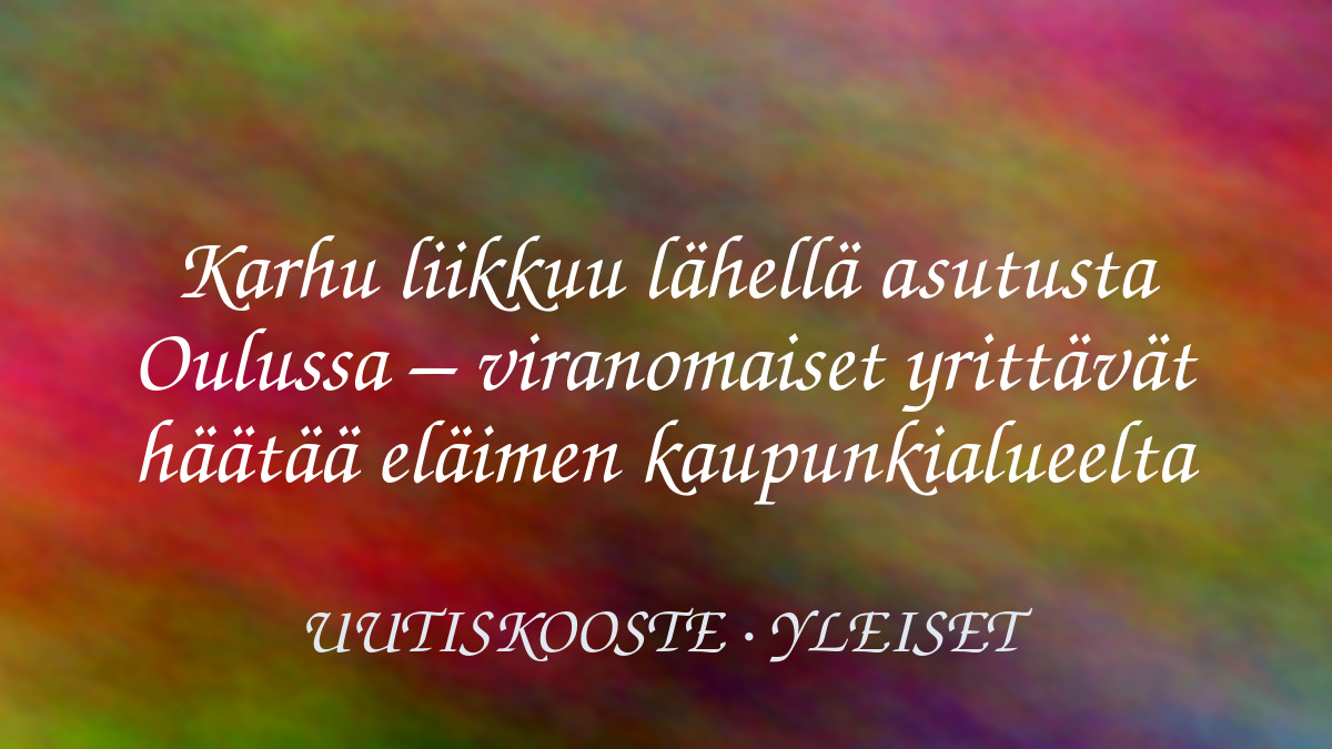 Karhu liikkuu lähellä asutusta Oulussa – viranomaiset yrittävät häätää eläimen kaupunkialueelta – kuvituskuva