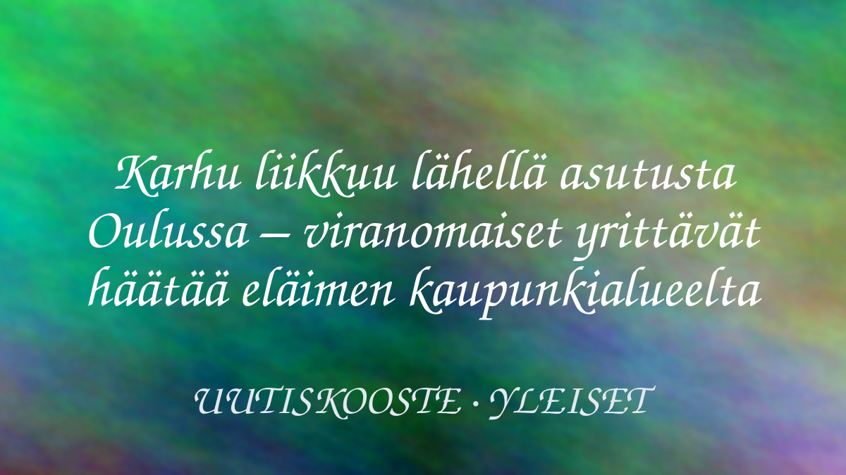 Karhu liikkuu lähellä asutusta Oulussa – viranomaiset yrittävät häätää eläimen kaupunkialueelta