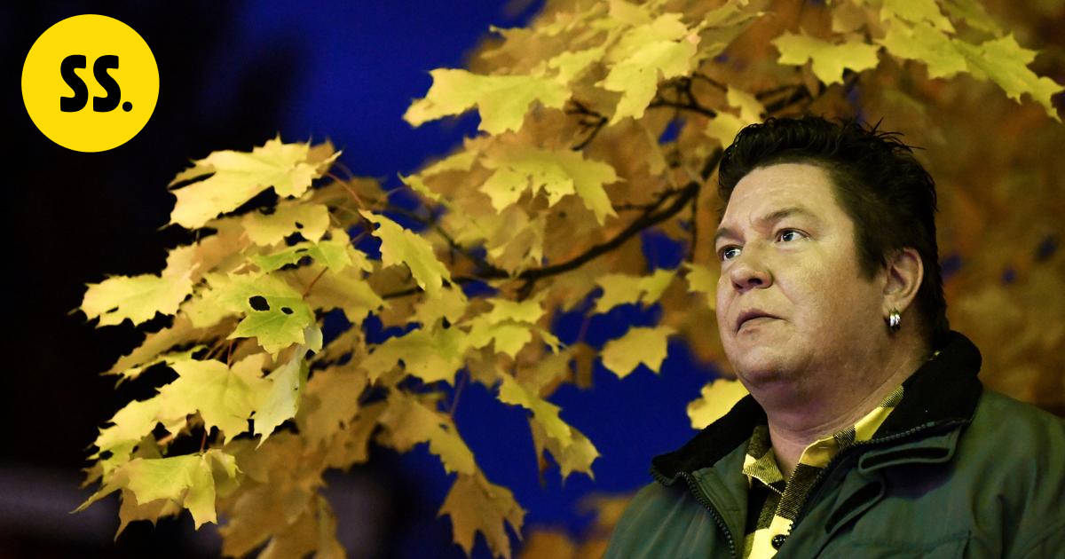 Laulaja Jani Wickholm on kuollut 48-vuotiaana – kuvituskuva