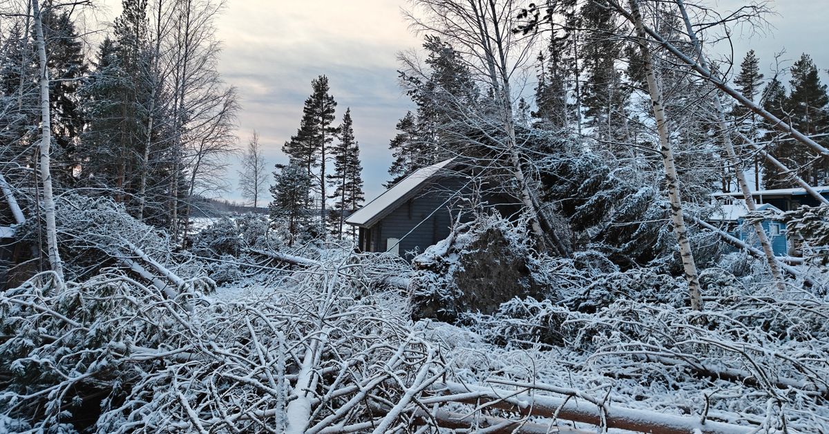 Pieni sähköyhtiö Kruunupyyssä menetti liki miljoonan Hannes-myrskyn sähkökatkoissa