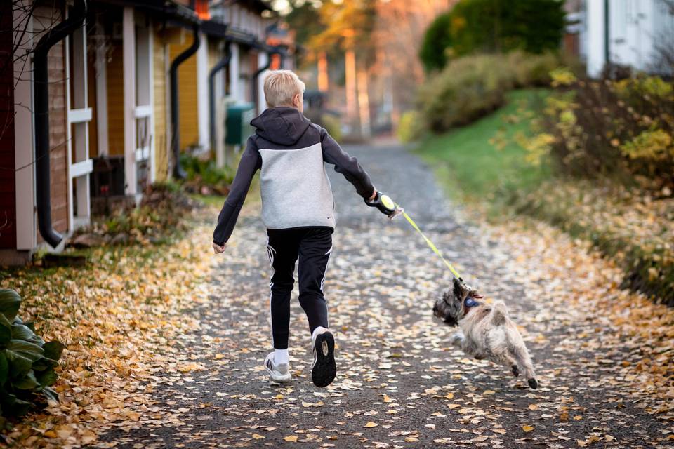 Pienten poikien adhd-lääkitys korostuu Pohjois-Savossa – tilastojen takana on perheiden arki