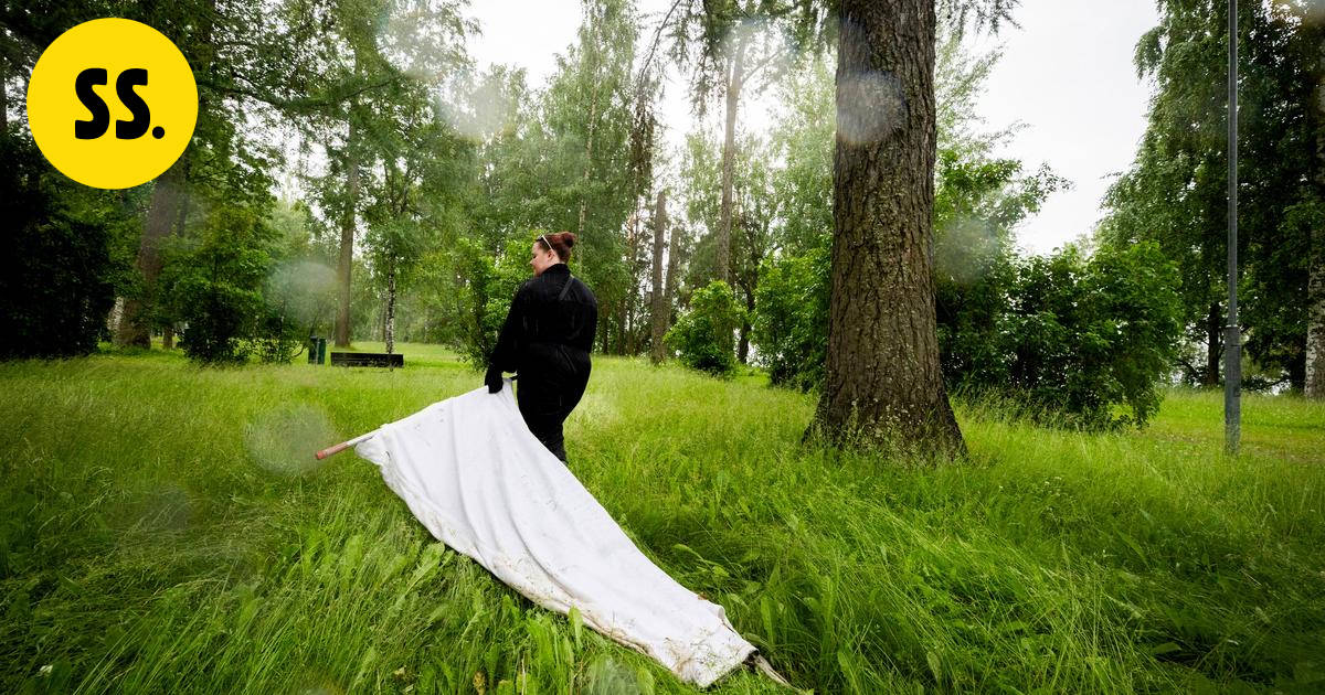Punkit saavuttavat Kuopion – kaupunkiympäristö ei suojaa enää punkeilta – kuvituskuva