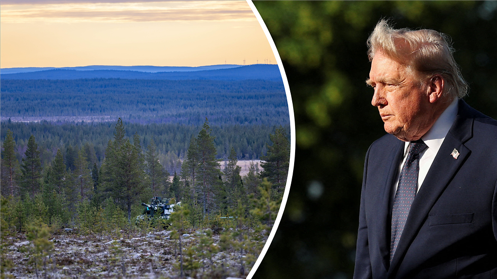Suomen asema Yhdysvaltain liittolaisena on vahvistunut, mutta turvatakuut nojaavat yhä politiikkaan
