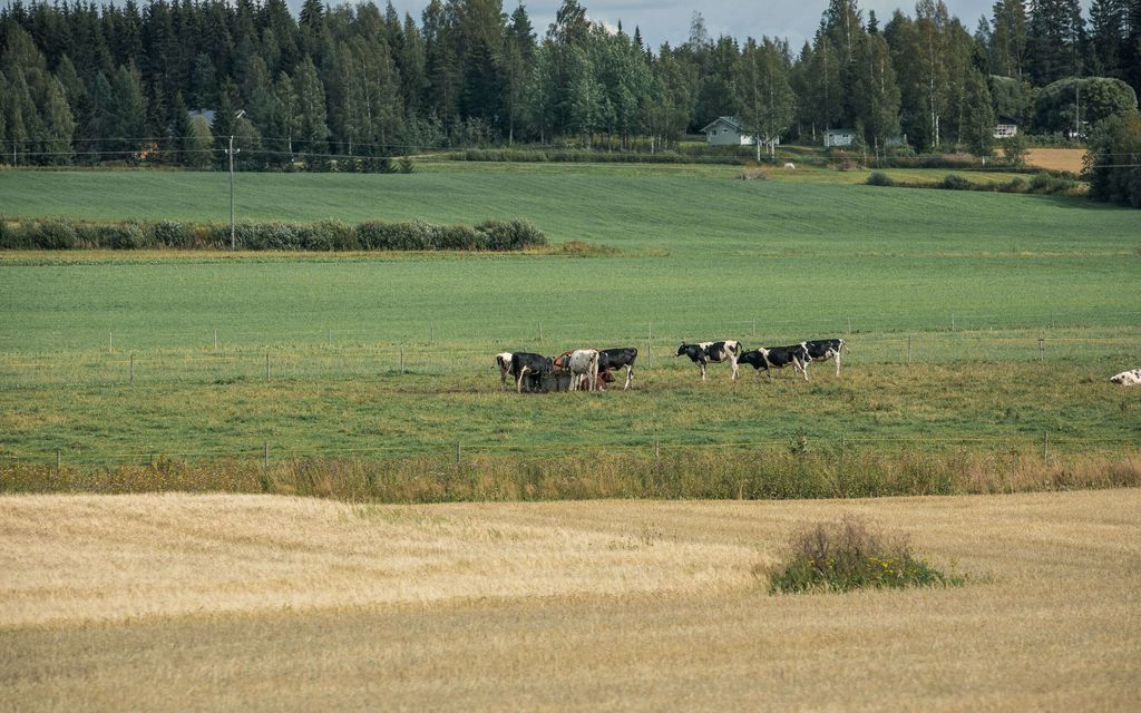 Suomen härskeiltä kuulostavat paikannimet kertovat kielen muuttumisesta