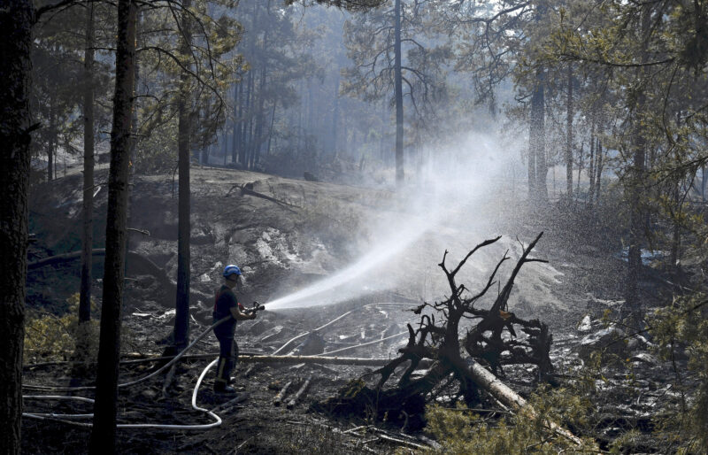 Suomessa moni laji hyötyisi metsäpaloista – suurpalojen uhka on pieni, vaikka ilmasto lämpenee