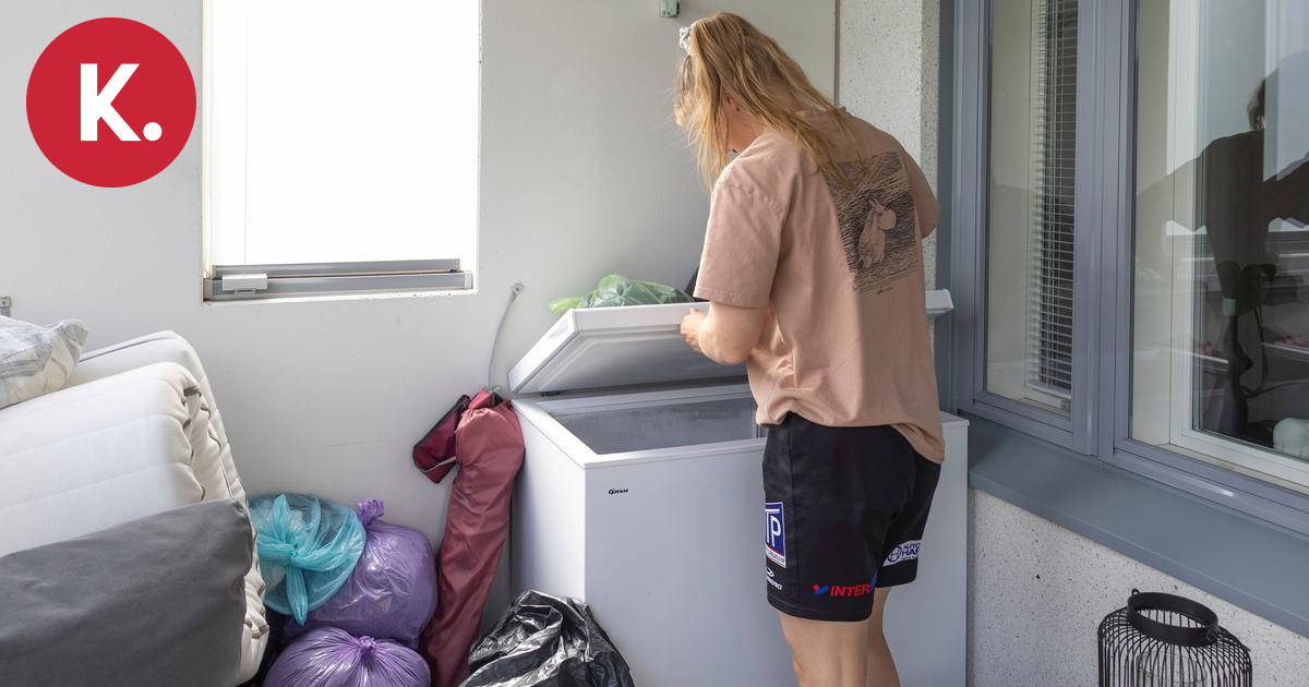 Turkiskuoriaiset vaivaisivat Joensuun opiskelijoita – vuokranantajat pitkään tietämättömiä – kuvituskuva