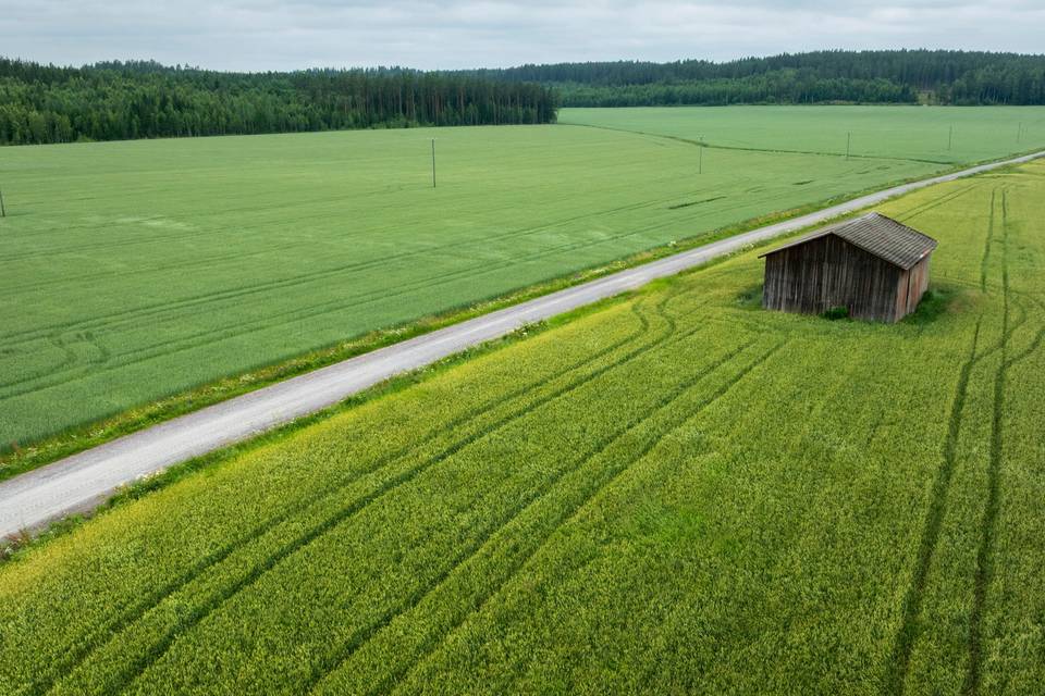 Viljelijöille sateli selvityspyyntöjä tänä syksynä – satelliittiseurannassa ongelmia