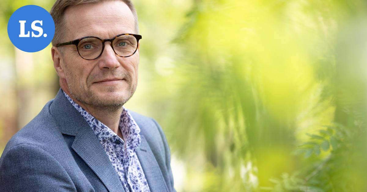 Voiko metsä olla sekä suojeltu että tuottava? 7 vastausta tutkijoilta – kuvituskuva